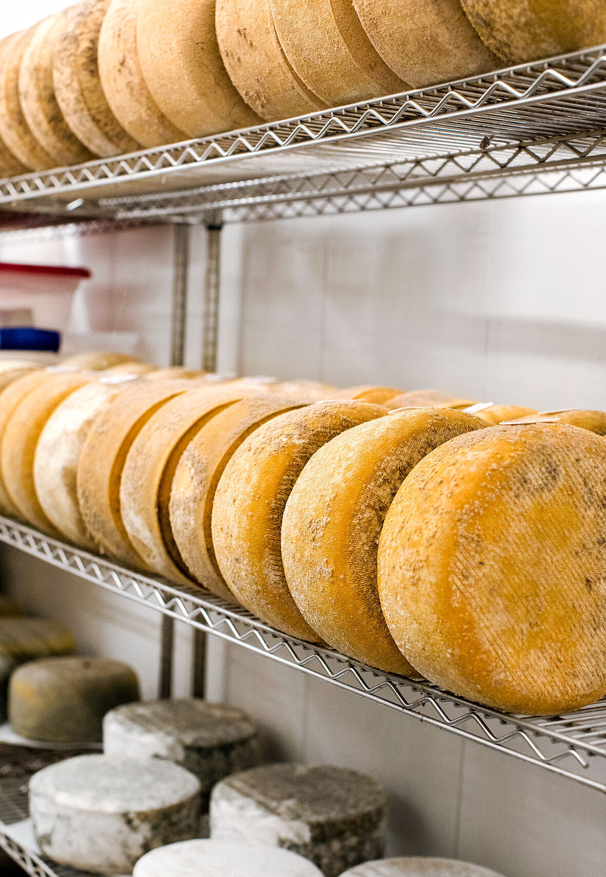 Cheese Room